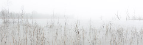 Lake Eppalock morning scenes